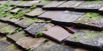 Halsnead Park roof repair costs
